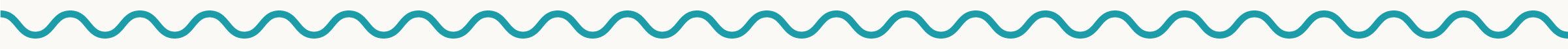 A wavy line used as a section break