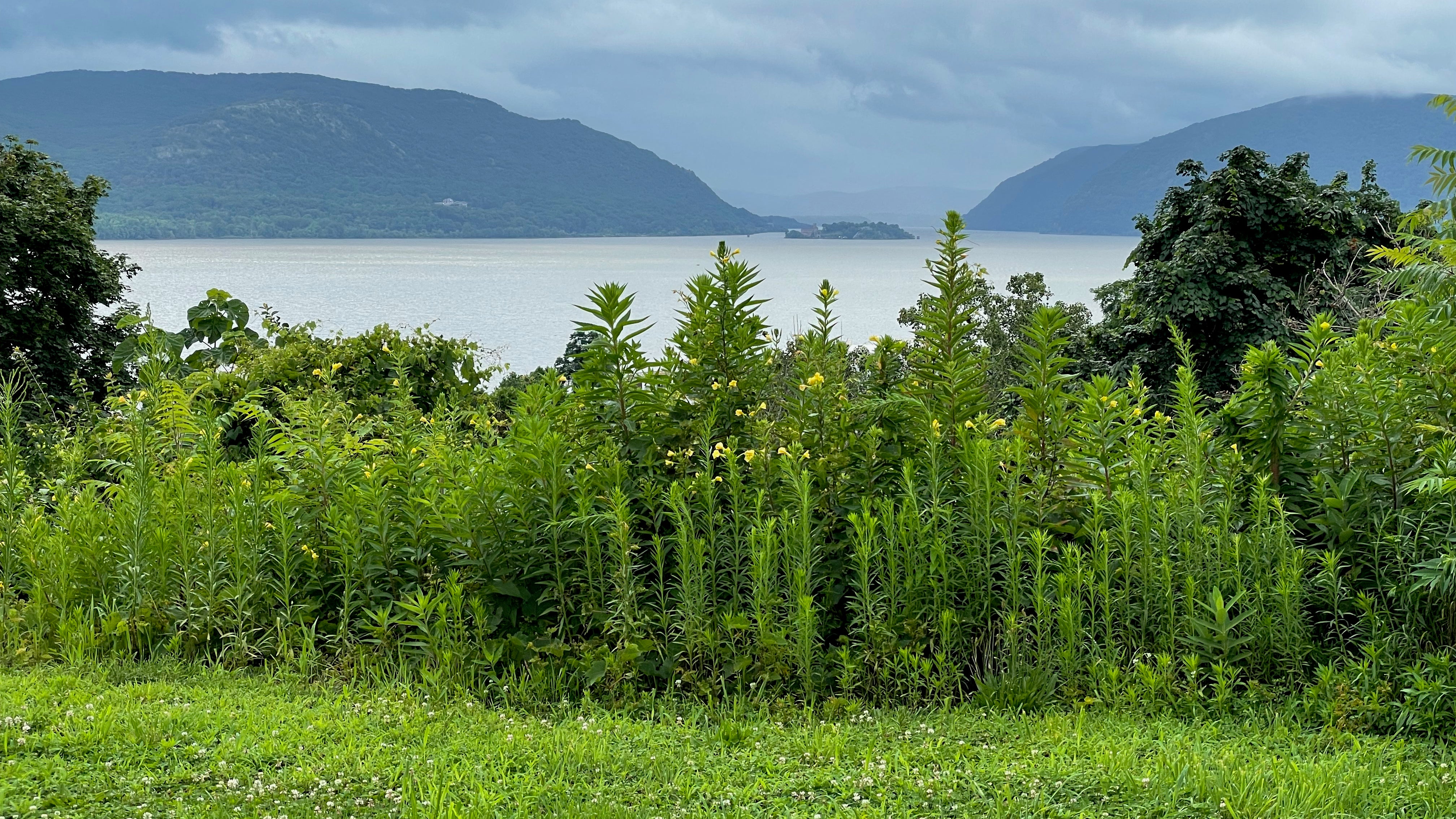 Hello, Newburgh