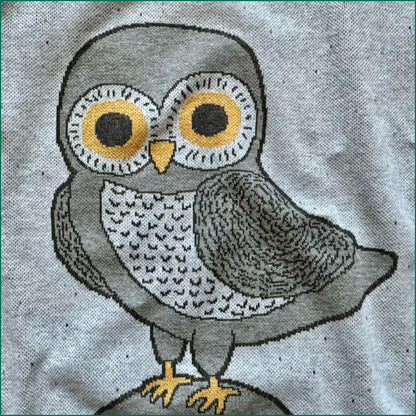Owl on a Vowel